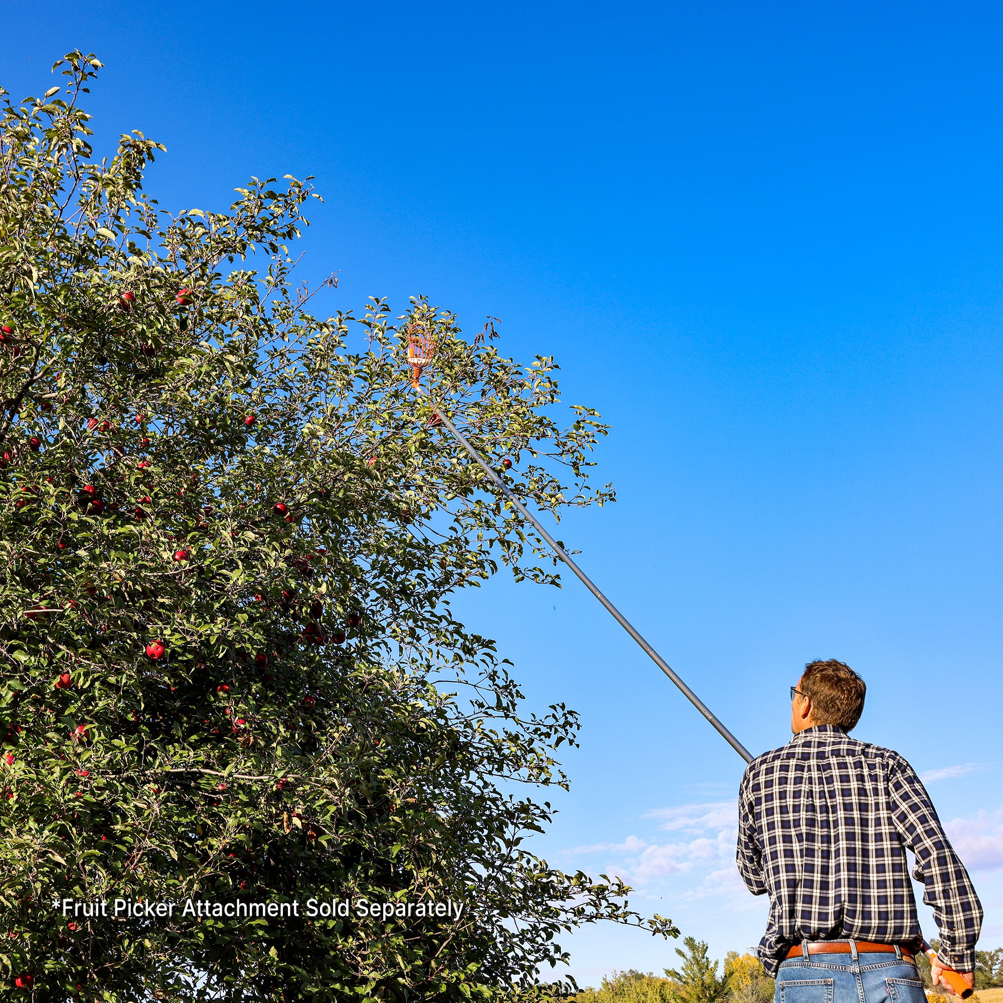Man using 16ft extension pole kit with fruit picker attachment to collect apples (fruit picker sold separately)