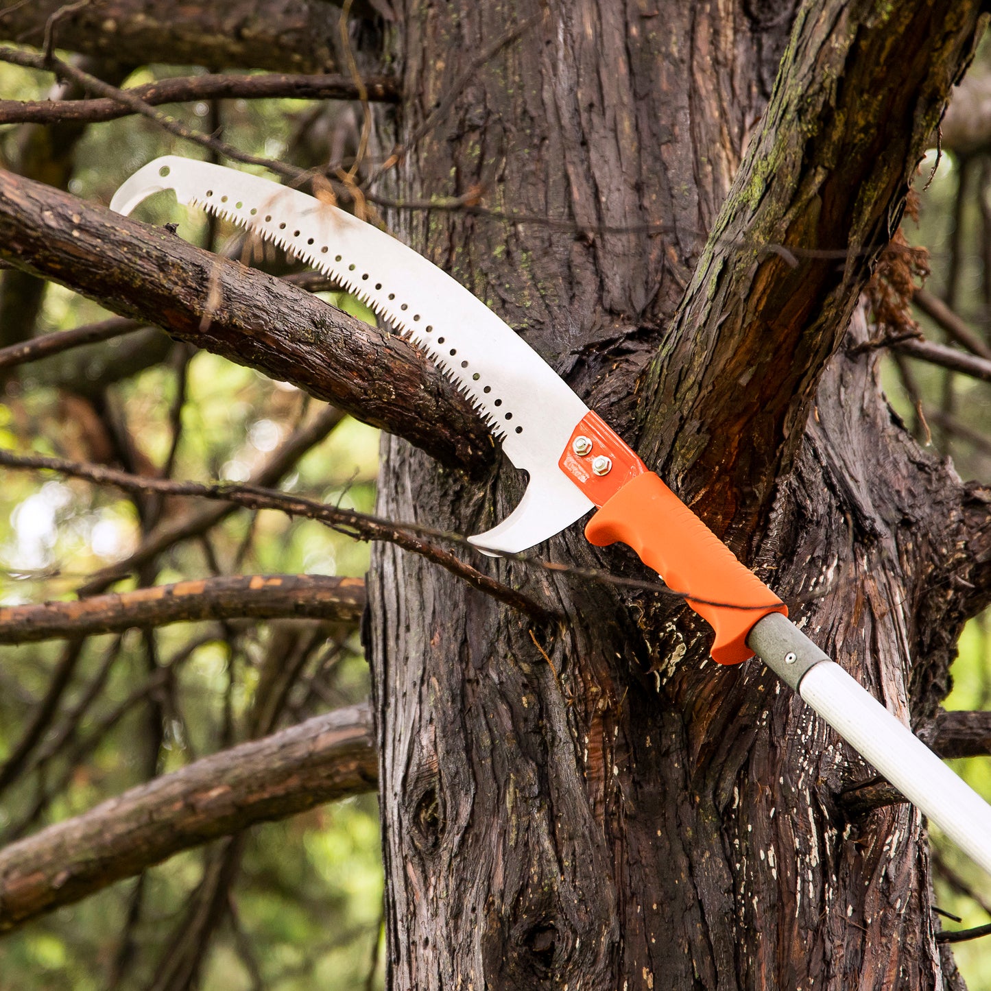 Pruning Saw Attachment