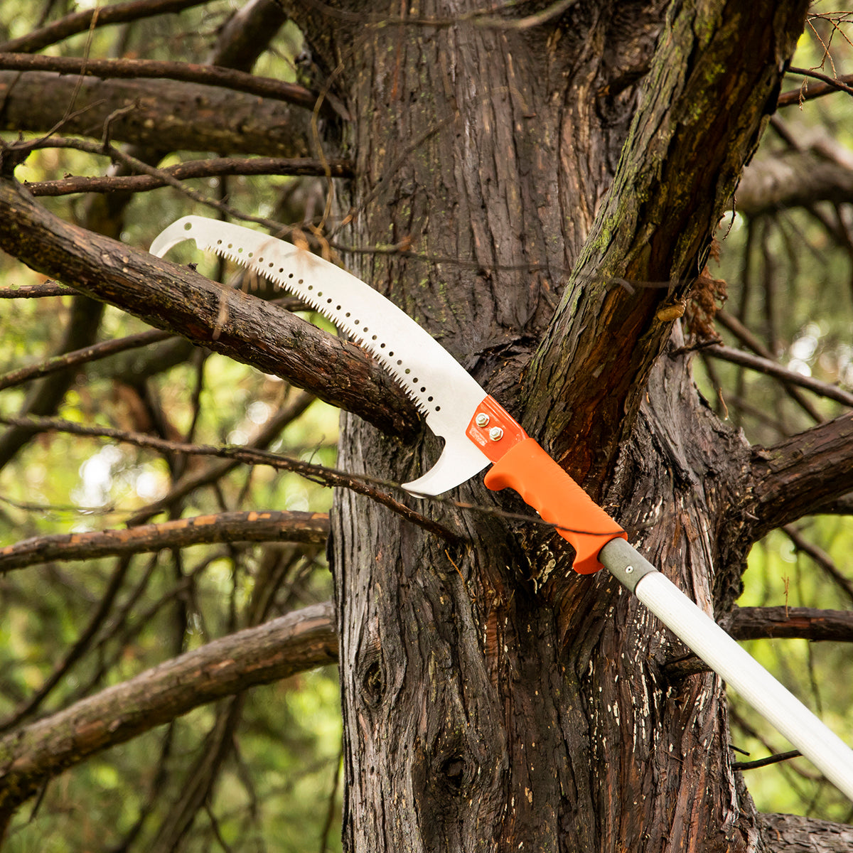 Pruning Saw Kit with 16ft Extension Pole