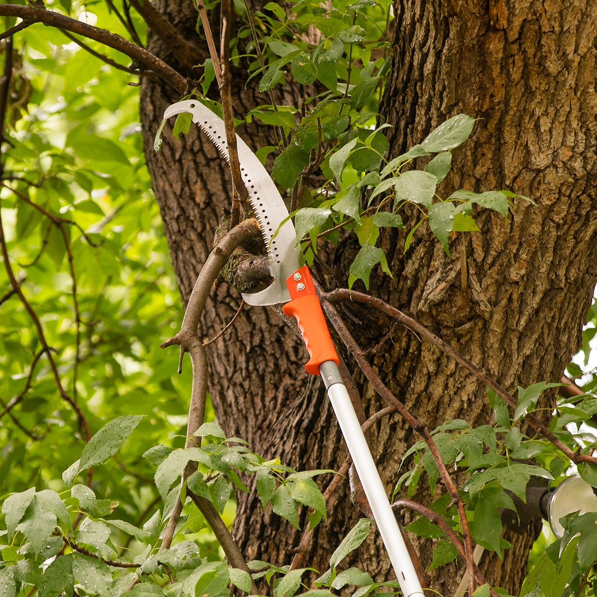 Pruning Saw Kit with 16ft Extension Pole