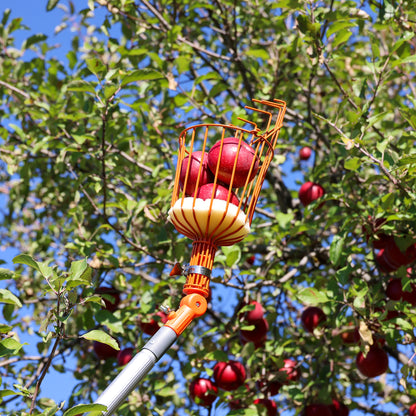 Fruit Picker with 16' Extension Pole
