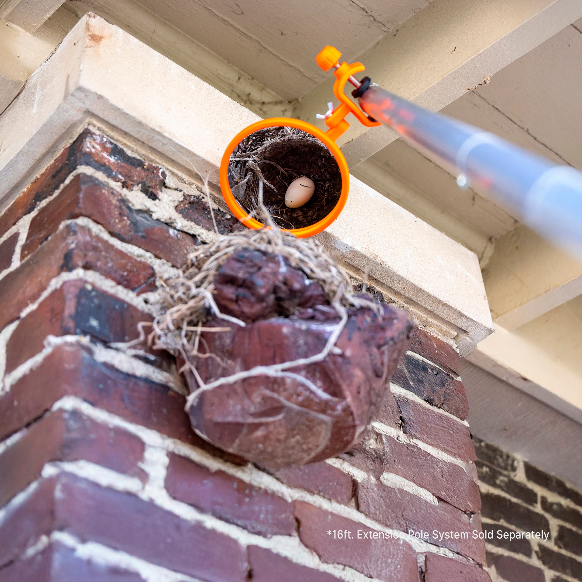 Inspector mirror on extension pole viewing egg in nest; EZ Smart extension pole kit sold separately.
