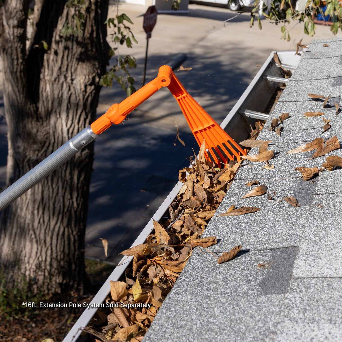 Mini Rake Attachment