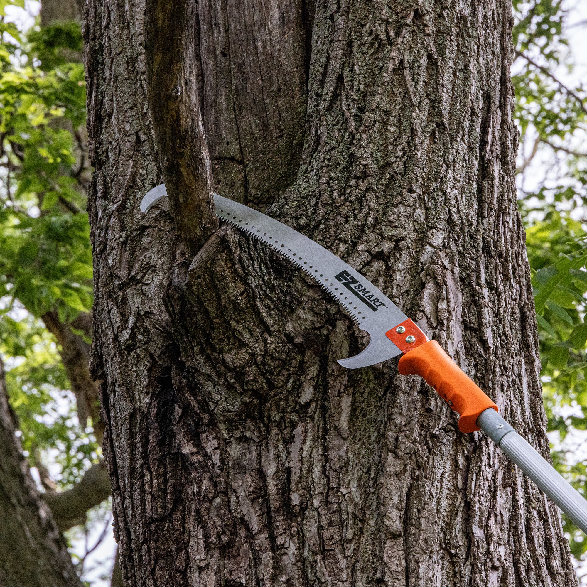 Pruning saw with 14-inch blade on extension pole cutting tree branch.