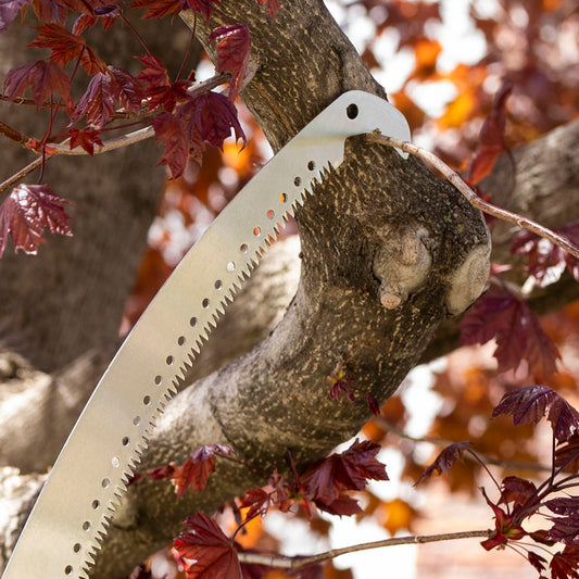 Pruning Saw Attachment